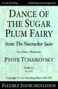 Dance of the Sugar Plum Fairy Concert Band sheet music cover